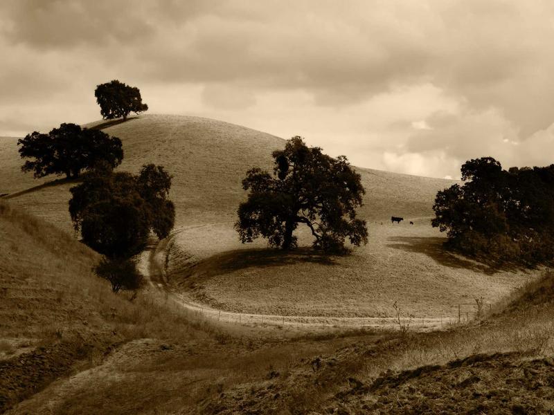 sudoku technique mastery screenshot 2