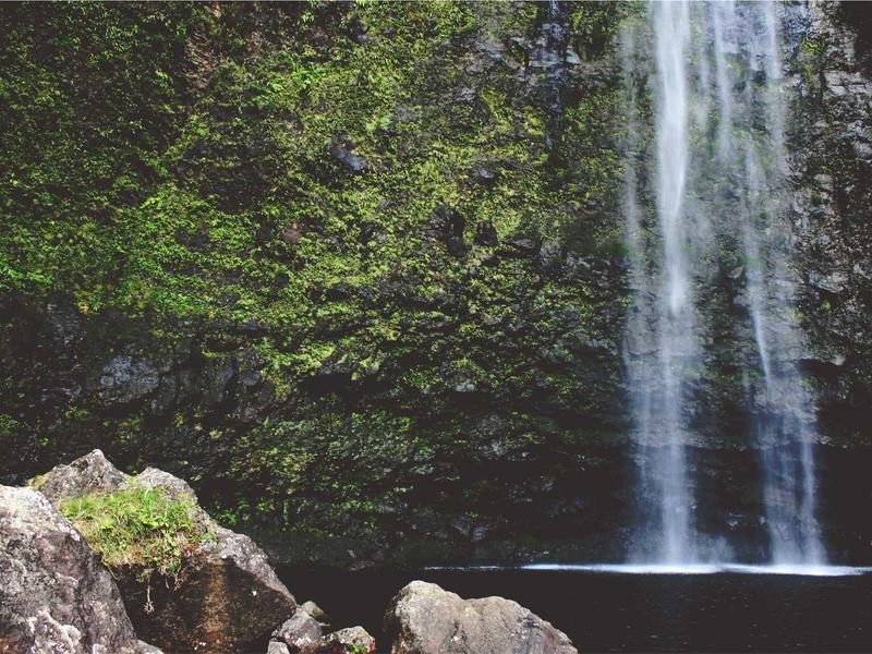 sudoku technique mastery screenshot 4